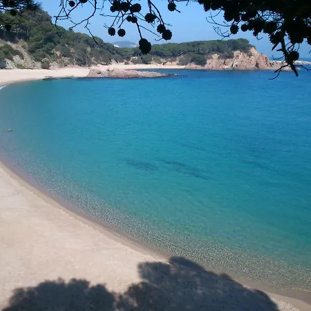 Vidabrava Sagaro Garden, Jardin Privado, Piscina, 150 M Playa